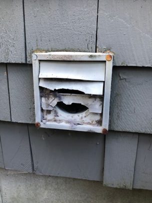 Photo Gallery-Broken Louvered Dryer Vent Flap-Photo Gallery